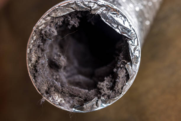 Best Local Air Duct Cleaning Services  in Marcus, IA